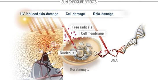 Minh họa sinh động về bảo vệ da khỏi ánh nắng  mặt trời và sự phục hồi DNA