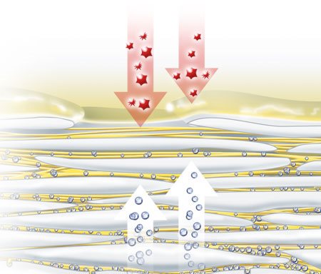 Minh họa về các nhân tố giữ ẩm tự nhiên  bị bốc hơi